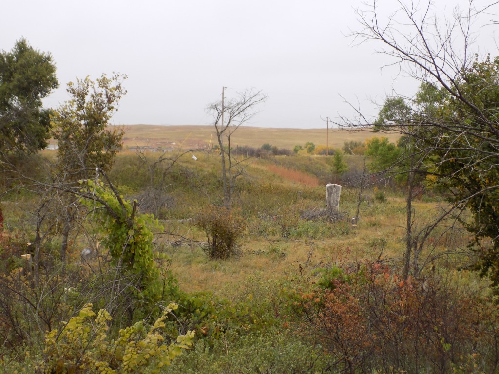 Knee Dominant Reflection Paper Systems What is your